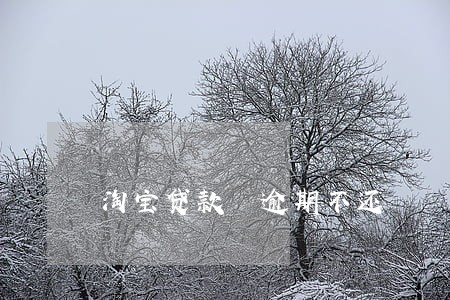 淘宝贷款 逾期不还 淘宝贷款 逾期不还